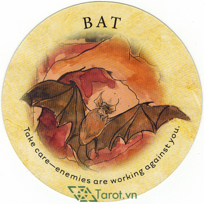 Lá bài Bat trong cách bói bài bài Tea Leaf có ý nghĩa gì?