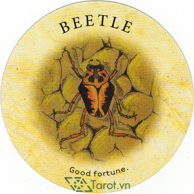 Lá bài Beetle trong cách bói bài bài Tea Leaf có ý nghĩa gì?