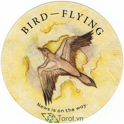 Lá bài Bird - Flying trong nghệ thuật bói bài Trà có nghĩa gì?