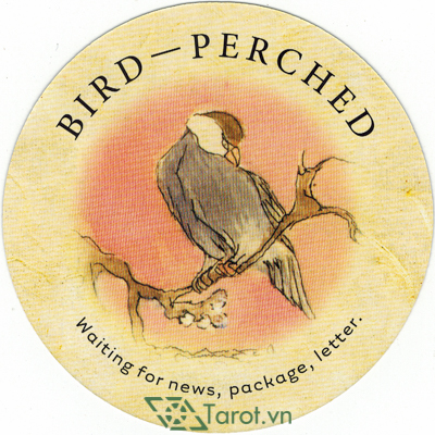 Lá bài Bird - Perched trong nghệ thuật bói bài Trà có nghĩa gì?