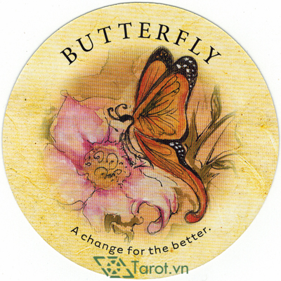 Lá bài Butterfly trong bài trà có nghĩa gì?