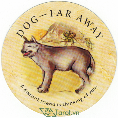 Lá bài Dog - far away